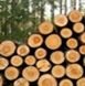 Lumber